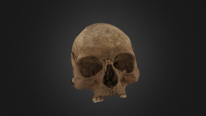 152-thumbnail.jpg