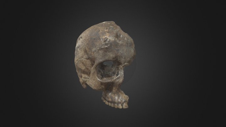 119-thumbnail.jpg