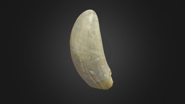 213-thumbnail.jpg